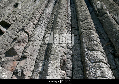 Fascinating wall of vertical columns the Organ volcanic rocks at the Giants Causeway Natural World Heritage site in Bushmills Antrim Northern Ireland Stock Photo