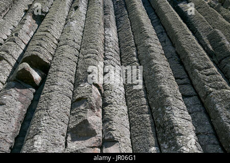 Fascinating wall of vertical columns the Organ volcanic rocks at the Giants Causeway Natural World Heritage site in Bushmills Antrim Northern Ireland Stock Photo