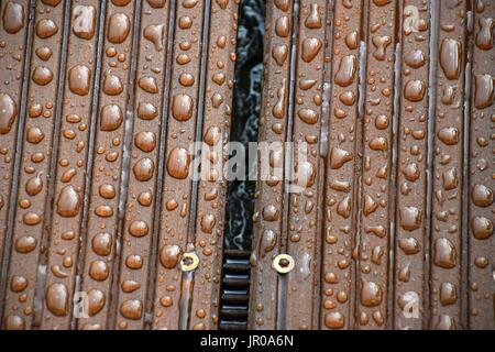 impregnated Wood with water drops Stock Photo