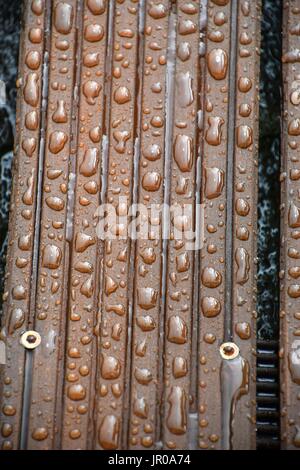 impregnated Wood with water drops Stock Photo
