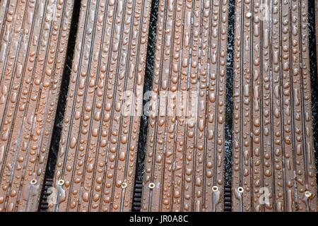 impregnated Wood with water drops Stock Photo