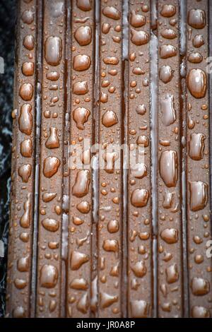 impregnated Wood with water drops Stock Photo