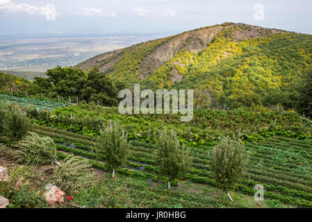 Gardens Of The Monastery Of St. Nino At Bodbe; Sighnaghi, Kakheti, Georgia Stock Photo