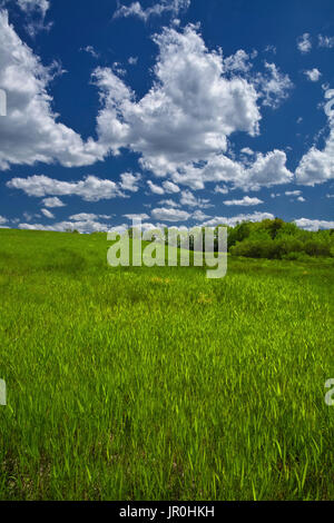 Lush green grass under blue sky with clouds Stock Photo - Alamy