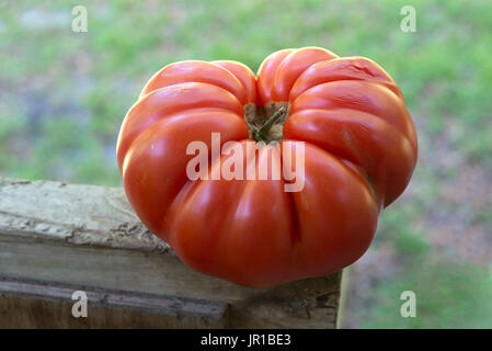 Heirloom Tomato Stock Photo