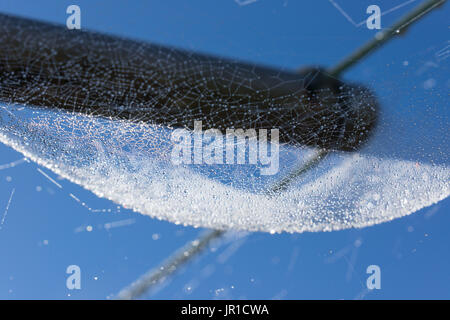morning dew on a large spiders web, a slightly abstract image Stock Photo