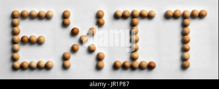 Photograph of the word "Exit" spelled out with wood push pins Stock Photo