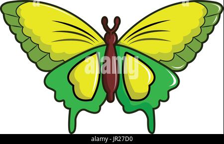 Goliath birdwing butterfly icon, cartoon style Stock Vector