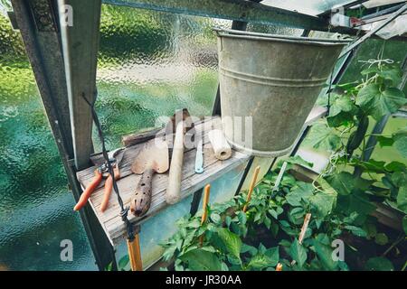 Gardening Hand Trowel, small hoe, metal bucket and other tools on the shelf inside the greenhouse. Stock Photo