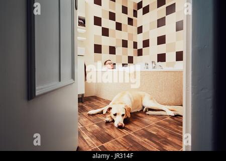 Living with dog. Young man relaxing in bathroom with his yellow labrador retriever. Stock Photo