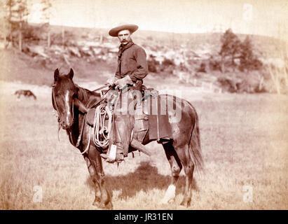 The historic American cowboy of the late 19th century arose from the vaquero traditions of northern Mexico and became a figure of special significance and legend. By the late 1860s, following the American Civil War and the expansion of the cattle industry, former soldiers from both the Union and Confederacy came west, seeking work, as did large numbers of restless white men in general. A significant number of African-American freedmen also were drawn to cowboy life, in part because there was not quite as much discrimination in the west as in other areas of American society at the time. The ave Stock Photo