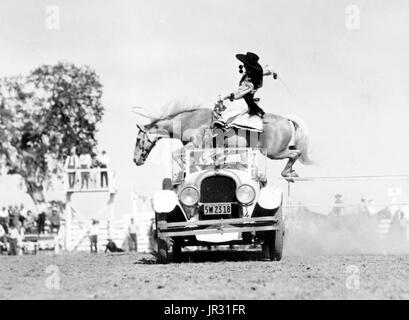 Cowgirl on horseback appearing to leap over a convertible automobile driven by a man at a rodeo. Historically, women have long participated in rodeo. 'Prairie Rose' Henderson debuted at the Cheyenne rodeo in 1901, and, by 1920, women were competing in rough stock events, relay races and trick riding. But after Bonnie McCarrol died in the Pendleton Round-Up in 1929 and Marie Gibson died in a horse wreck in 1933, women's competitive participation was curbed. Rodeo women organized into various associations and staged their own rodeos. Today, women's barrel racing is included as a competitive even Stock Photo