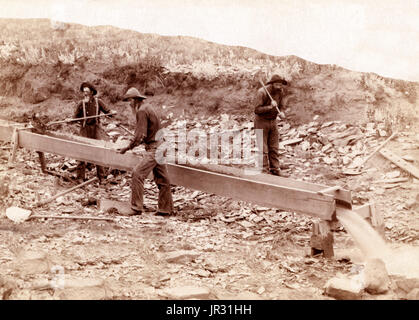 Placer mining at Rockerville, Dakota. Old timers, Spriggs, Lamb and Dillon at work. The Black Hills Gold Rush began in 1874. The first arrivals were a force of one thousand men led by George Armstrong Custer to investigate reports that the area contained gold, even though the land was owned by the Sioux. They found small amounts of gold in present day Custer, South Dakota, and looked for better paying locations. They moved north, establishing the towns of Hill City, Sheridan, and Pactola. At each spot they found flakes of gold, but not the bonanza they sought. Things changed when the miners st Stock Photo