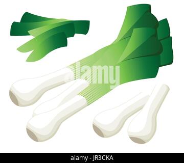 Vector illustration logo for whole ripe vegetable bitter onion,with green stem,cut sliced,close-up background.Onion drawing pattern consisting of tag  Stock Vector