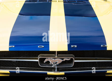 1965 Ford Mustang hood and badge. Classic American Car Stock Photo