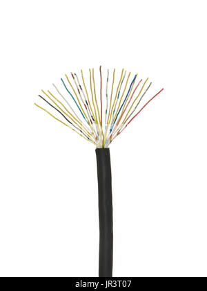 Black stripped cable with multicolored electrical wires isolated on white background. Stock Photo