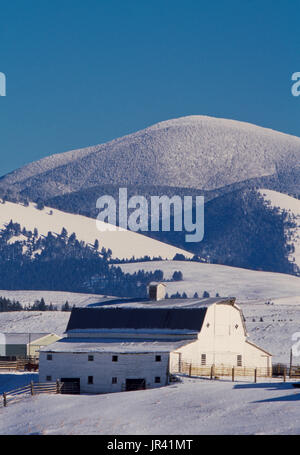 old white barn in a snowy landscape below nevada mountain near helmville, montana Stock Photo