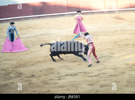 Bullshit in Spain - Toreador fight with bull - Feria Stock Photo