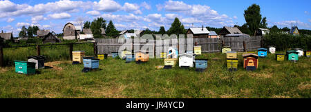 beekeeper hives in the apiary checks, panorama Stock Photo