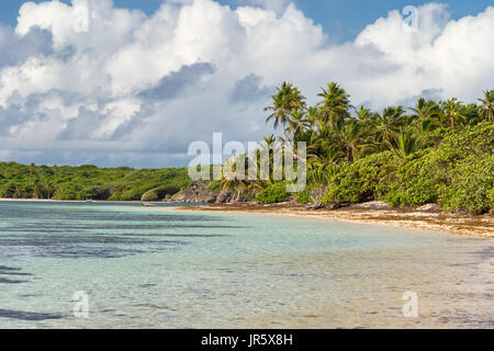 Beautiful exotic Caribbean beach with palm trees in Martinique (Anse Michel) Stock Photo