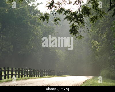 Ethereal woods scene with path and fence and rays of light filtering through Stock Photo