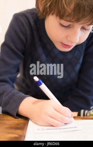 Boy doing his homework Stock Photo