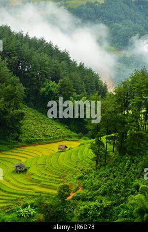 Terraced rice field, Mu Chang Chai, Vietnam Stock Photo