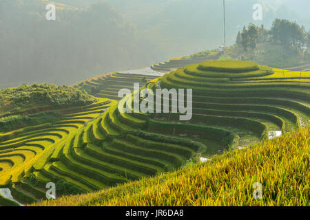 Terraced rice field, Mu Chang Chai, Vietnam Stock Photo