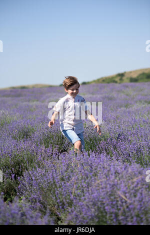 Boy running through a lavender field Stock Photo
