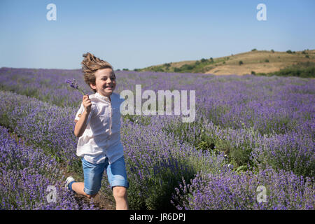 Smiling Boy running through a lavender field Stock Photo