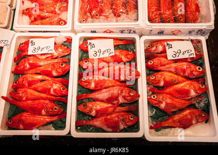 Fresh seafood for sale at Tokyo's famous Tsukiji Fish Market, Japan. Stock Photo