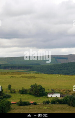 9th July 107 - Small Welsh hill farm in the hills hear, Senny Bridge, close to the Army ranges of Epynt. Stock Photo