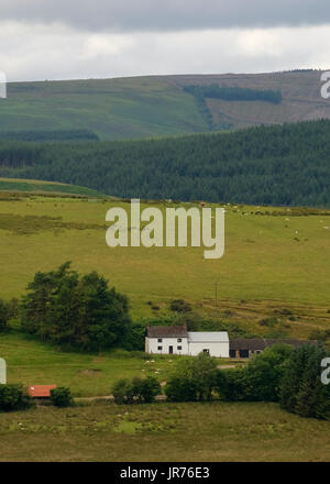 9th July 107 - Small Welsh hill farm in the hills hear, Senny Bridge, close to the Army ranges of Epynt. Stock Photo