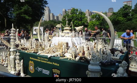 (170803) -- NEW YORK, Aug. 3, 2017 (Xinhua) -- The ivory artifacts which are going to be destroyed in the Ivory Crush event are displayed at Central Park in New York, the United States, on Aug. 3, 2017. Nearly two tons of ivory artifacts crafted from the tusks of about 100 slaughtered elephants were destroyed by a rock crusher in New York City's Central Park on Thursday. The event, jointly organized by the Wildlife Conservation Society (WCS) and the New York State Department of Environmental Conservation, is designed to show New York's resolution to smash illegal ivory trade. (Xinhua/Li Xueyao Stock Photo