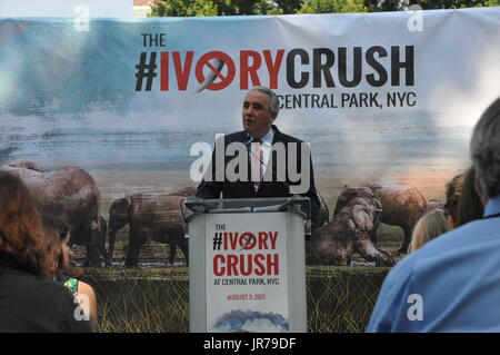 (170803) -- NEW YORK, Aug. 3, 2017 (Xinhua) -- John F. Calvelli, Director of the Wildlife Conservation Society (WCS)'s 96 Elephants Campaign, delivers a speech during the Ivory Crush event at Central Park in New York, the United States, on Aug. 3, 2017. Nearly two tons of ivory artifacts crafted from the tusks of about 100 slaughtered elephants were destroyed by a rock crusher in New York City's Central Park on Thursday. The event, jointly organized by the Wildlife Conservation Society (WCS) and the New York State Department of Environmental Conservation, is designed to show New York's resolut Stock Photo