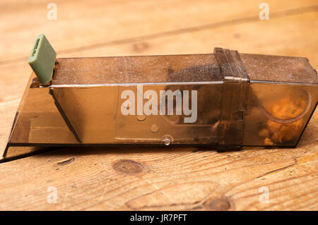 Humane mouse trap Stock Photo