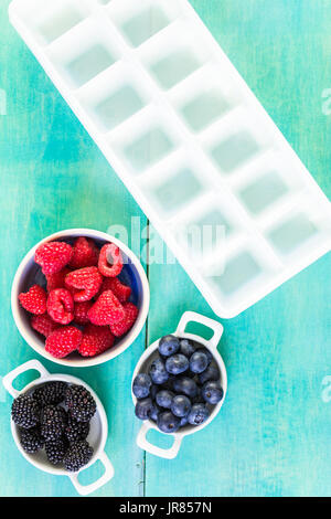 Making fresh fruit ice cubes for summer drink. Stock Photo