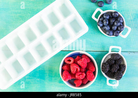 Making fresh fruit ice cubes for summer drink. Stock Photo