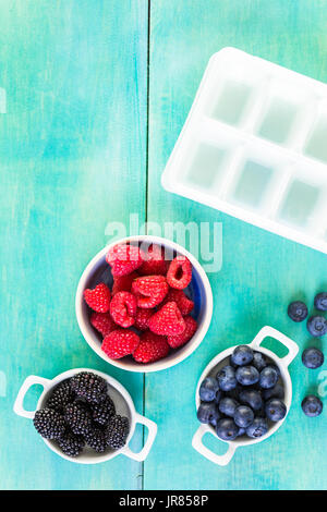 Making fresh fruit ice cubes for summer drink. Stock Photo