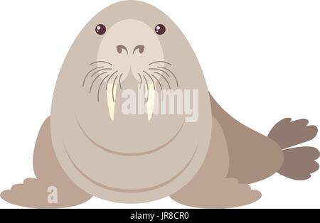 Walrus on white background illustration Stock Vector