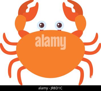 Orange crab on white background illustration Stock Vector