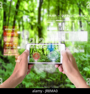 Woman using a smart device with reality augmentation graphical overlays in nature to understand the environment and plants Stock Photo