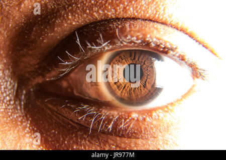 A macro view of a hazel eye looking straight into the camera. Stock Photo