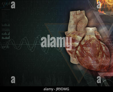 3d rendered medical illustration of a human heart Stock Photo