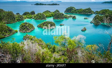 Pianemo islands surrounded by azure clear water and covered by green vegetation. Raja Ampat, West Papua, Indonesia. Stock Photo