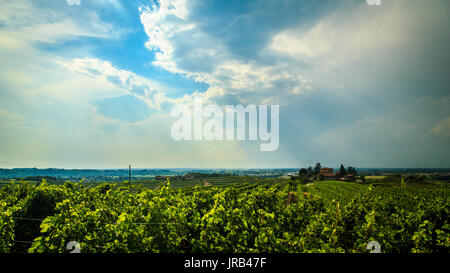 Storm is approaching the vineyards in the fields of Collio, Italy Stock Photo