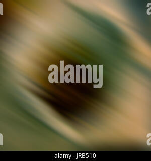 Abstract multicolored diagonal spots and lines blurred background Stock Photo