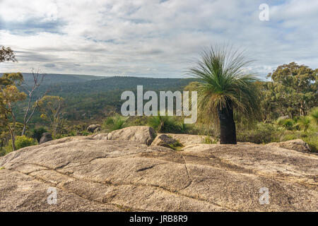 Lookout in John Forrest national park from scenic drive, Darling range, Western Australia Stock Photo