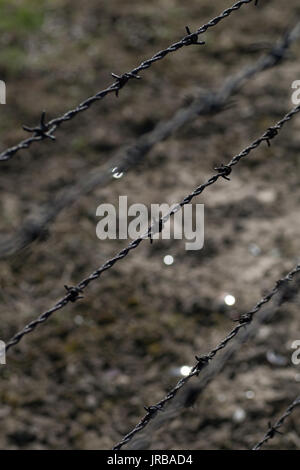 Close up of electric barbed wire fence in former Nazi Concentration Camp in Auschwitz-Birkenau, Oswiecim Brzezinka, Poland Stock Photo