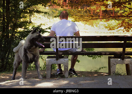 Man with his dog in nature Stock Photo